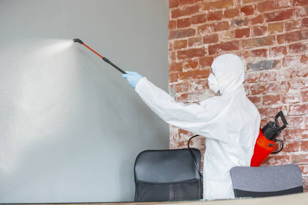 Best Mold Remediation for Healthcare Facilities  in Ville Ptte, LA