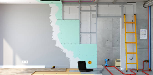 Professional Mold Removal in Ville Platte, LA