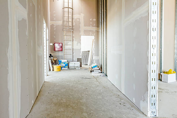 Best Mold Removal for HVAC Installations  in Ville Ptte, LA